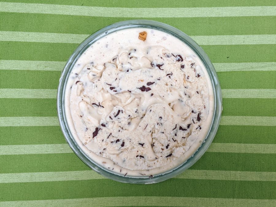 Peanut Butter Chocolate Chip Ice Cream